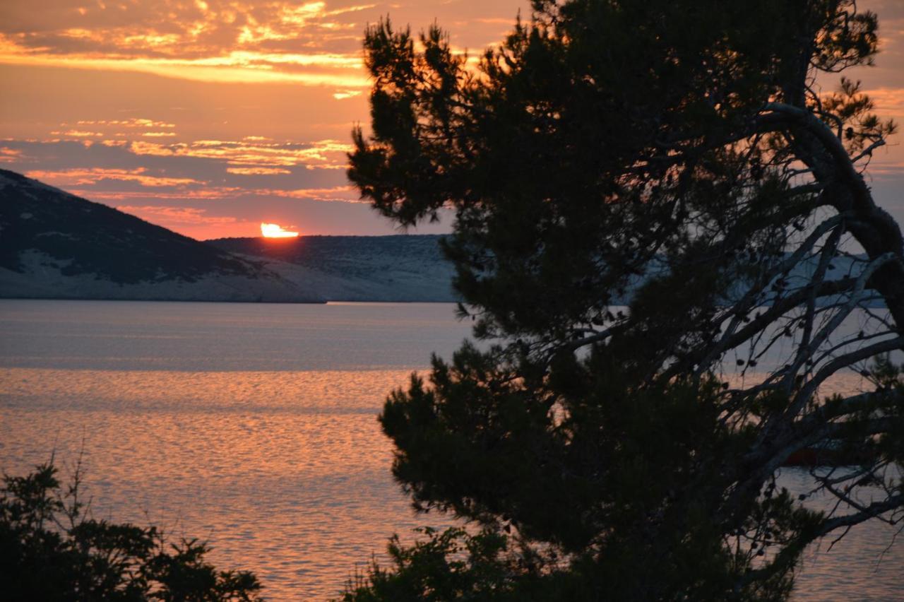 Apartments By The Sea Stara Novalja, Pag - 9396 外观 照片